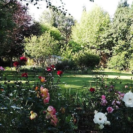Treelands Estate Dullstroom Ngoại thất bức ảnh